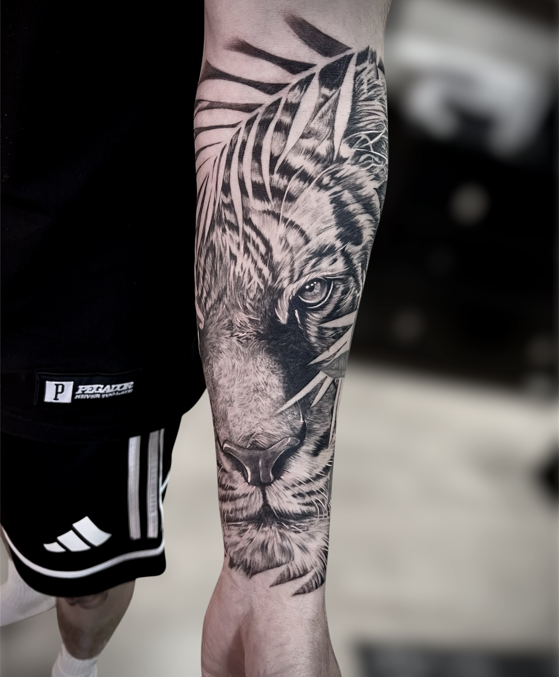 Healed tattoo work by Marcel Joaquim